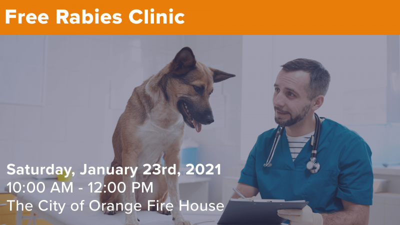 FREE rabies clinic – Orange City Council
